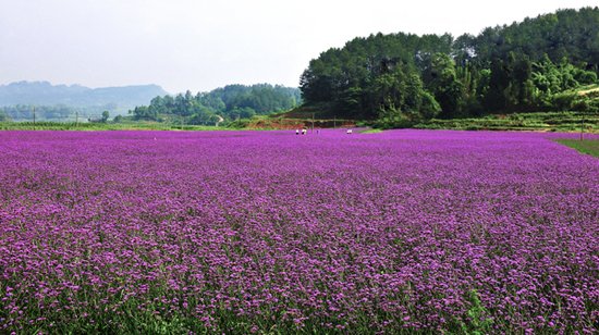 童樂夏天全家總動員(yuán) 2013暑期親子遊線路推薦